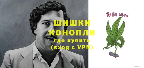индика Аркадак