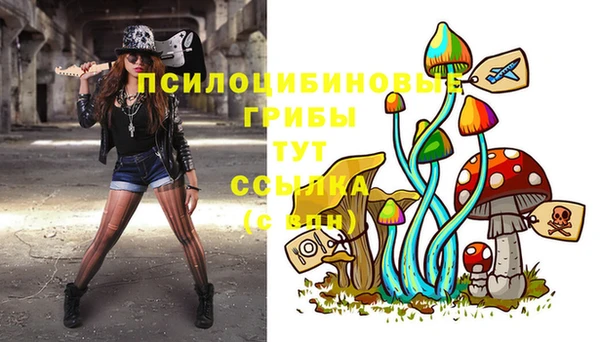 дживик Арсеньев