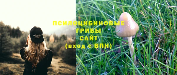 ALPHA-PVP Елабуга