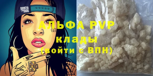 индика Аркадак