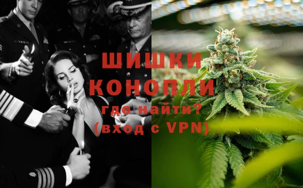 дживик Арсеньев