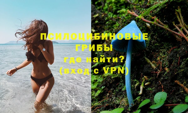дживик Арсеньев
