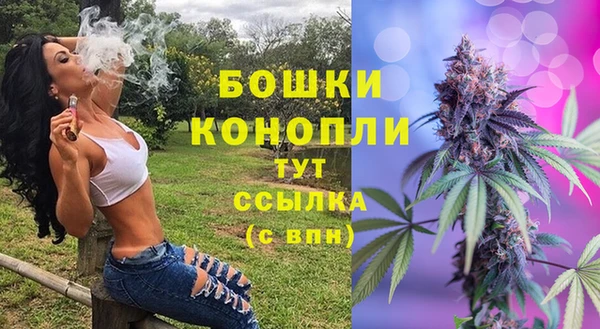 дживик Арсеньев