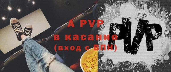 индика Аркадак